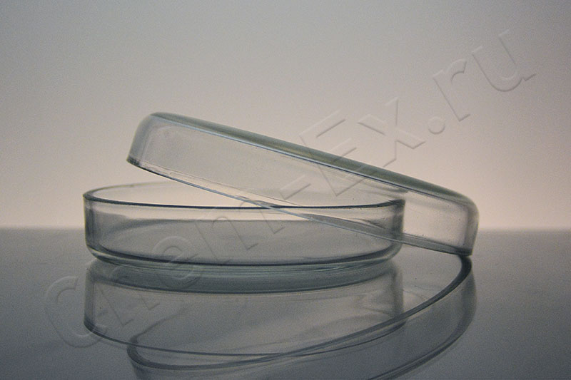 Чашка Петри 100х20 мм, стекло (ЧБН-2) Чашка Петри 100х20 мм, стекло (ЧБН-2)