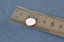 Септа для виал d 12,5x1 мм, белый PTFE / красный силикон (арт. HM-4459) в Уфе