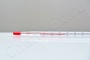Термометр ТЛ-2 № 2 исп. 2 (0...100) ц. д 1, орг. жидкость (200422) в Уфе
